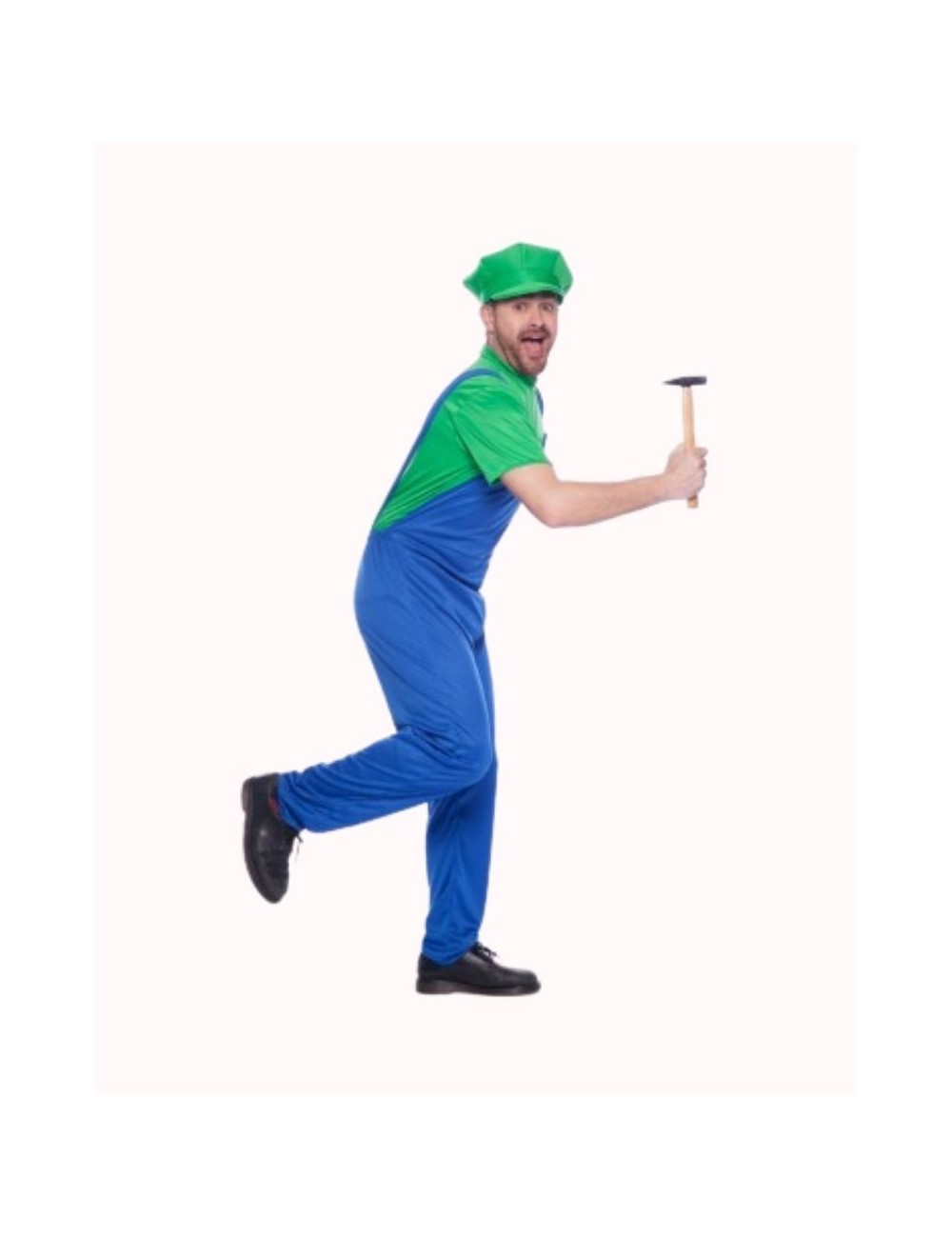 Costume Homme Luigi