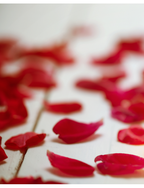 100 Rose petals