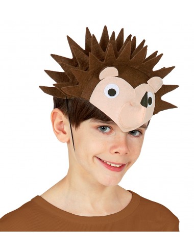 Hat child hedgehog