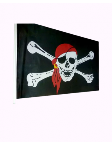 Pirate flag with hampe