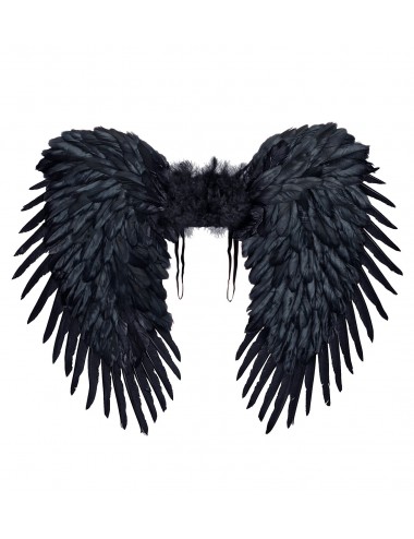 Black wings