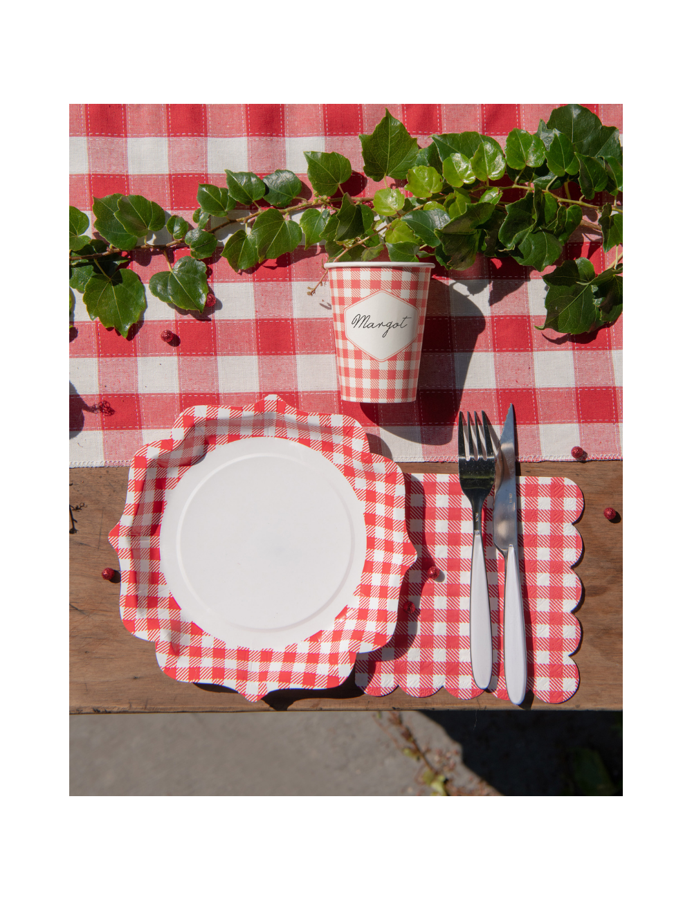 10 Assiettes countryside red for a picnic