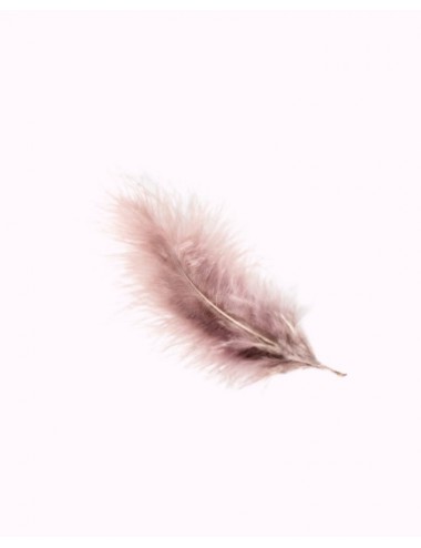 5 feathers of 10-15 cm colour
