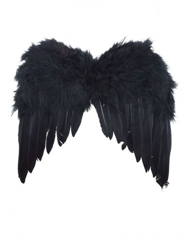 Mini ailes en plumes noires