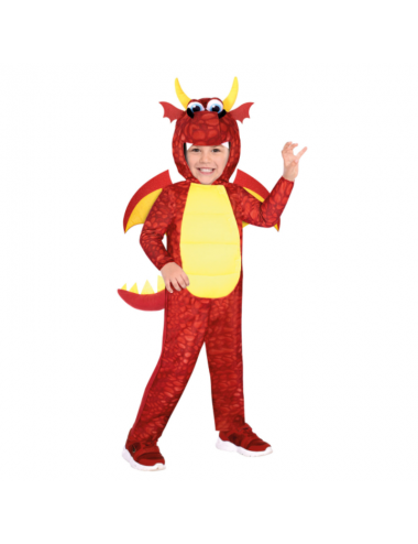 Child Costume Dragon