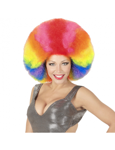 Clown  Afro Wig  rainbow