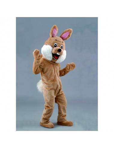 Brown Rabbit Mascot - Rent...