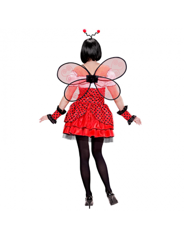 Adult Ladybug Costume