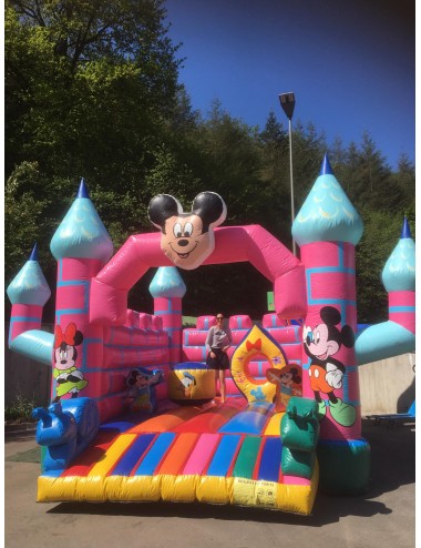 Mickey & Minnie - Rental