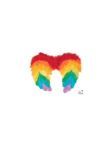 Mini pair of rainbow wings