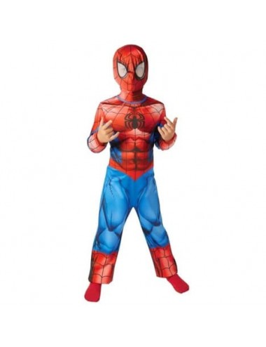 Ultimate Spiderman Costume