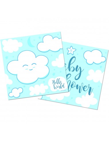 20 Baby Shower Towels Blue