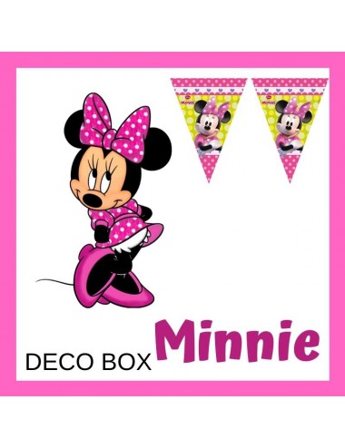 Deco Box - Minnie violet