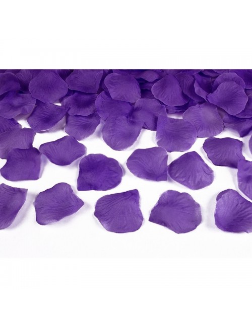 Pétales de rose violett