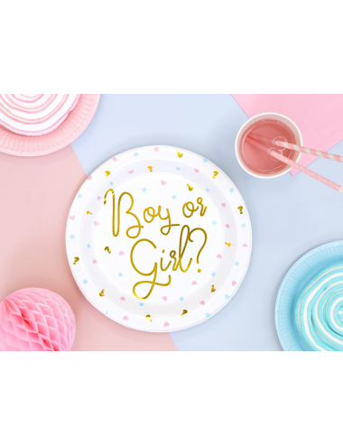 6 Paper Plates "Boy or Girl ?"