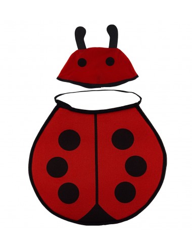 Baby Ladybug Accessory Kit