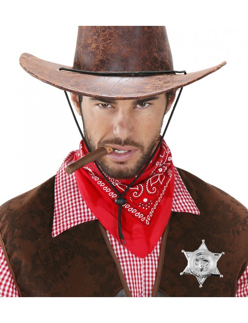 Sheriff's Star