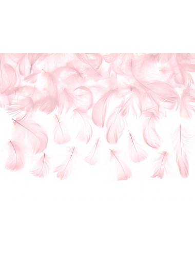 Pale pink feathers