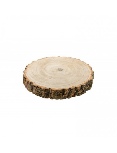 Wood log with bark