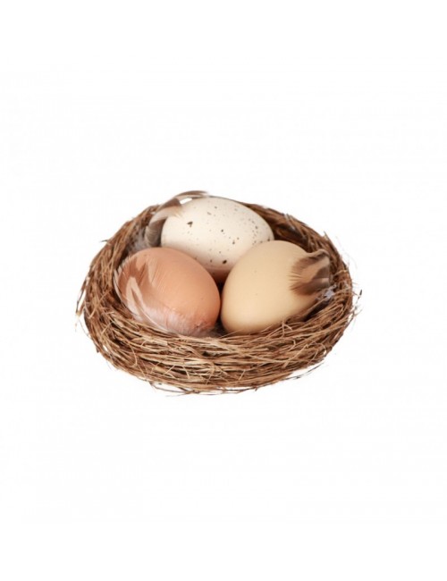 Nest der Eier