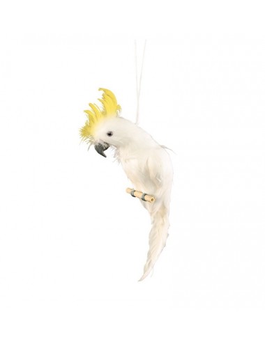 Weißer Papagei mit gelbem Kamm