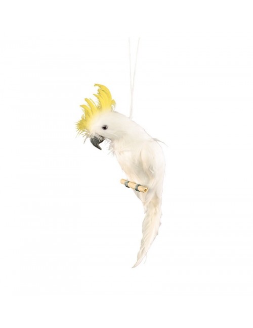 Weißer Papagei mit gelbem Kamm