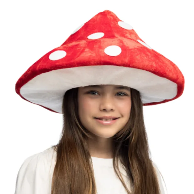 Chapeaux, bonnets & coiffes - Accessoires de déguisement - Partyshop Luxembourg