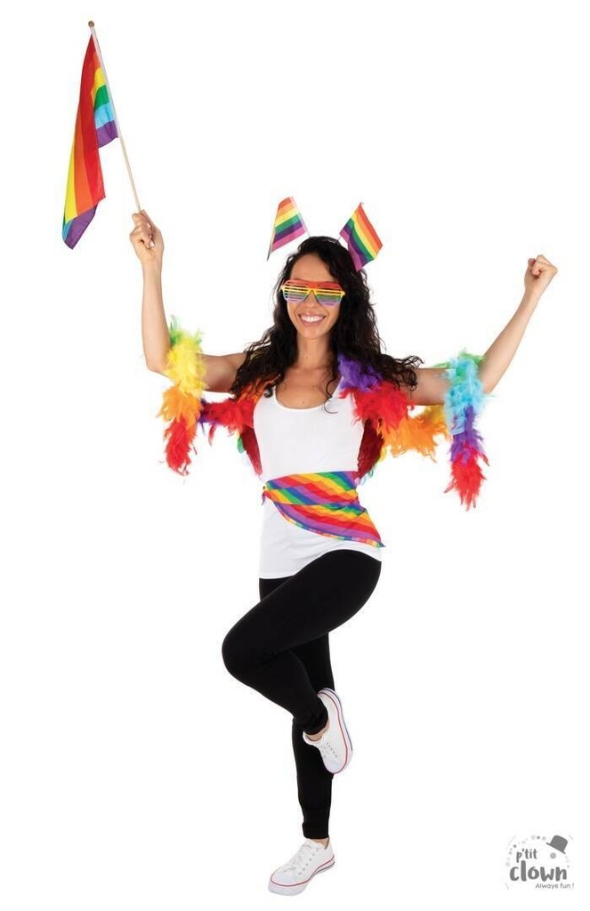 Drapeau arc-en-ciel sur tige – vue 2