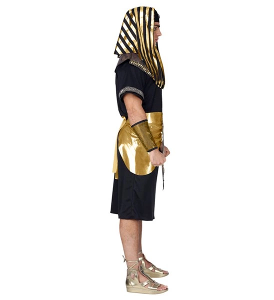 Déguisement de Pharaon pour homme 2