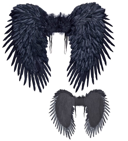 Ailes en plumes noires 80 x 60 cm 2