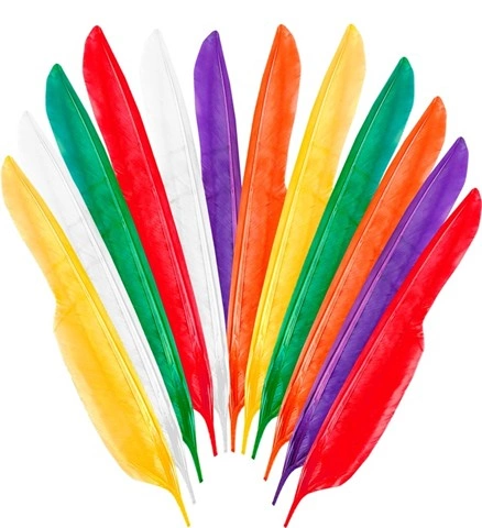 Lot de 12 plumes d'inspiration amérindienne 2