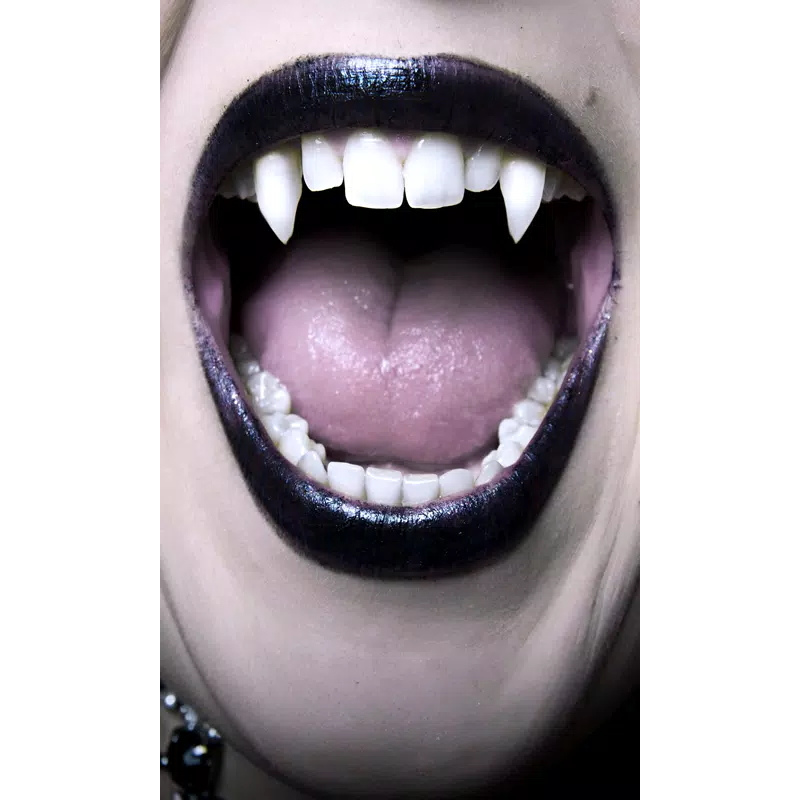Canines de vampire 