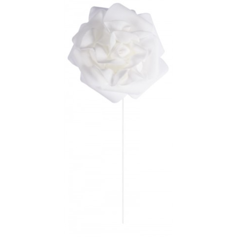 Rose sur tige