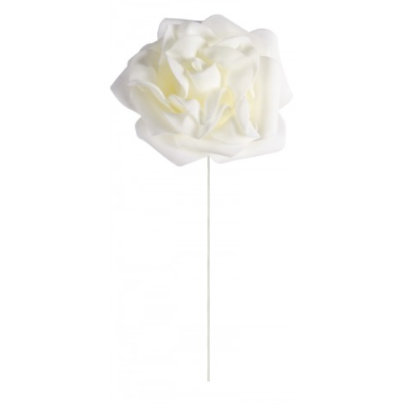 Rose sur tige