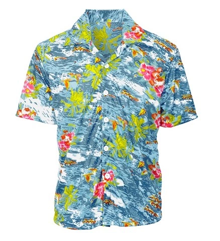 Chemise hawaïenne 2