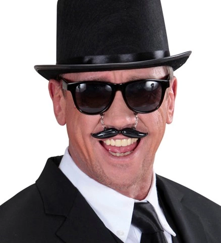 Lunettes avec moustache 2