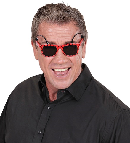 Lunettes coccinelle 2