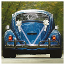 Décoration pour voiture "vive les mariés"