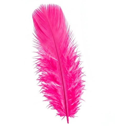 Plumes fuchsia x 50 - env. 10 cm 2