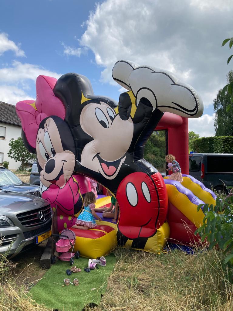 Mickey et Minnie location 1 jour