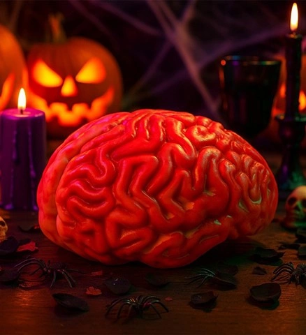 Cerveau ensanglanté 6