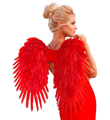 Ailes d'ange en plumes rouges 80 x 60 cm 2