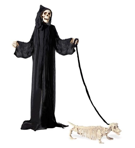 Chien teckel squelette en laisse, 55 cm 2