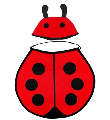 Kit accessoires coccinelle pour bébé 2