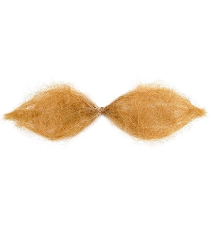 Moustache schnauzer blonde 2