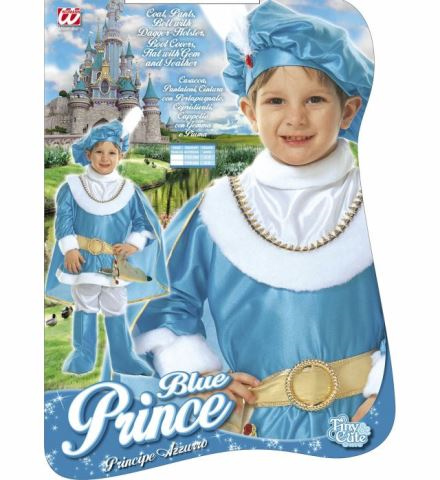 Déguisement de prince bleu pour garçon 2