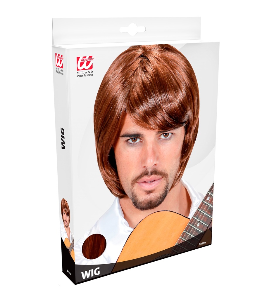 Perruque 70's pop star Bjorn brune