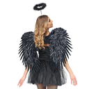Ailes en plume noires 