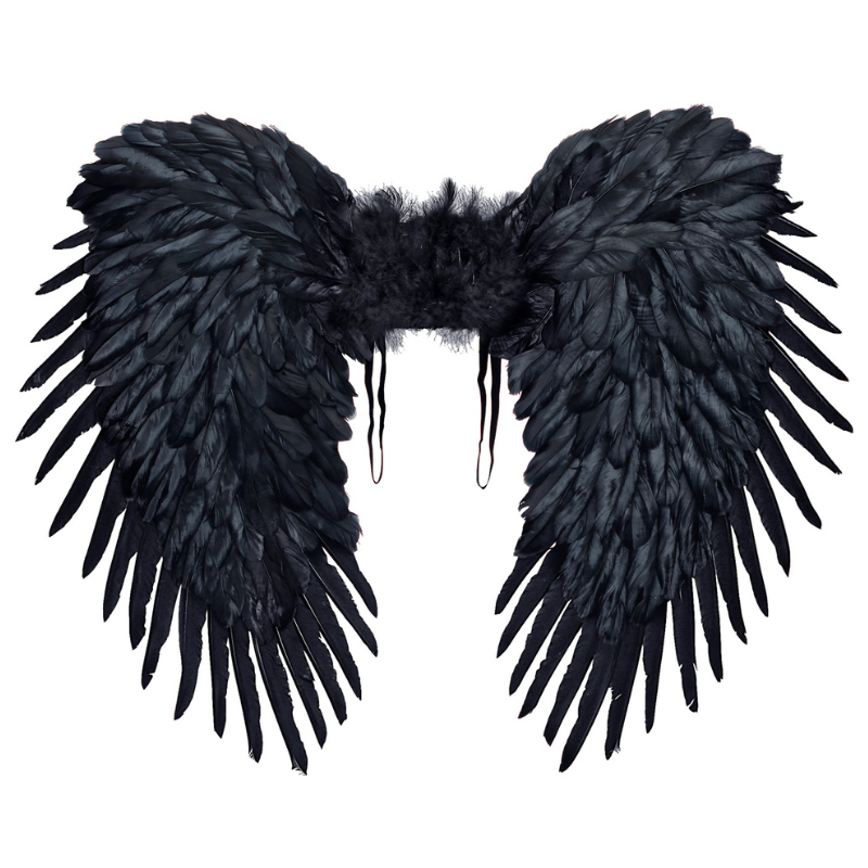 Ailes en plume noires 