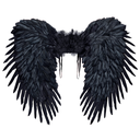 Ailes en plume noires 